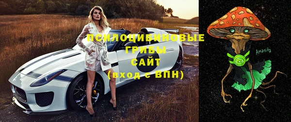 стафф Алексеевка